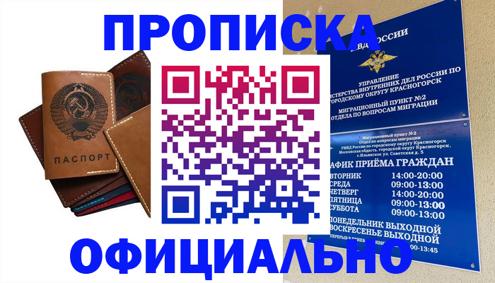 временная прописка в Оленегорске